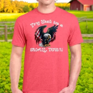 TRY THAT IN A SMALL TOWN T-Shirt